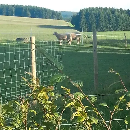 Eselhof